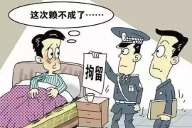 林州林州讨债公司服务